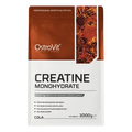 CREATINA MONOHIDRATADA 1 KG SABORES